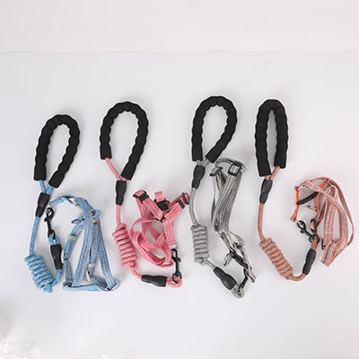 Dog Harness & Leash Set