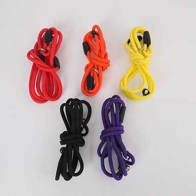 Escape-proof Dog Leash